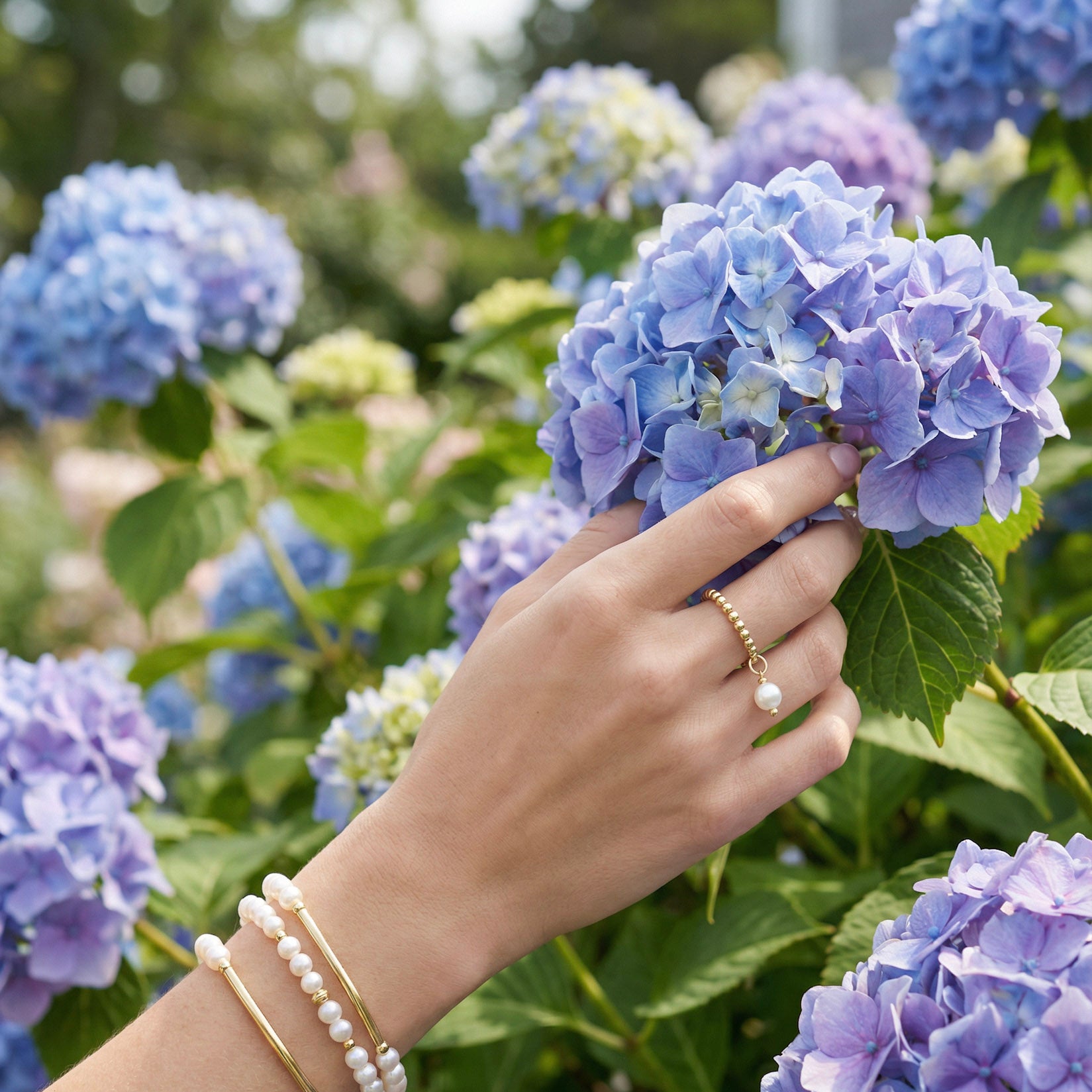 Hand with jewelry touching blue hydrangeas in a garden