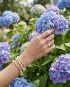 Hand with jewelry touching blue hydrangeas in a garden